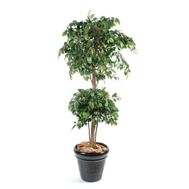 Ficus artificiel DOUBLE BOULE