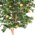 ORANGER Artificiel ARBRE T
