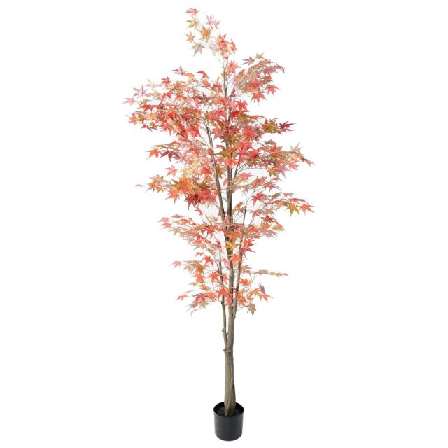 ARALIA Artificiel AUTOMNE