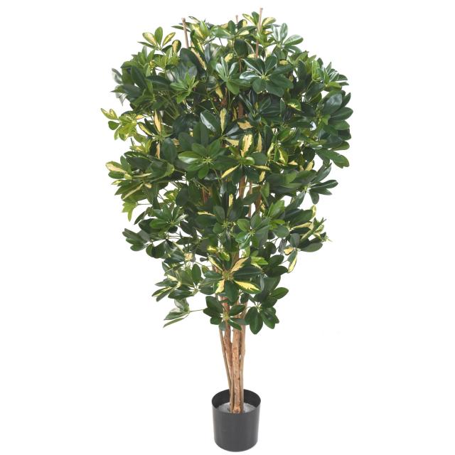 Schefflera artificiel