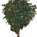Ficus artificiel GEANT TREE