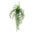 ASPARAGUS Artificiel CHUTE 55 POT