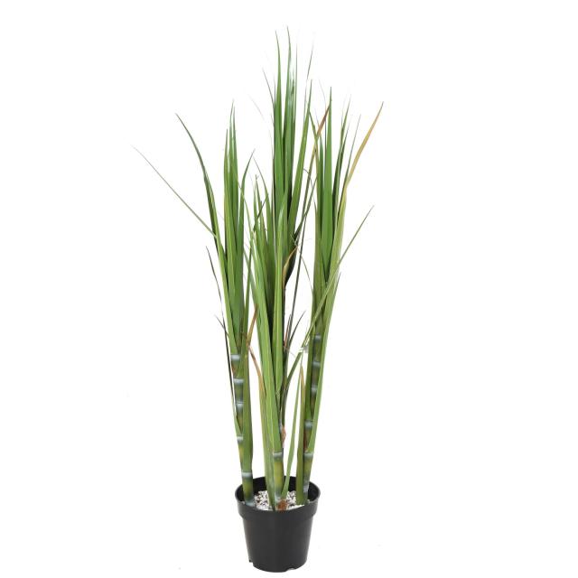 Canne à sucre artificielle