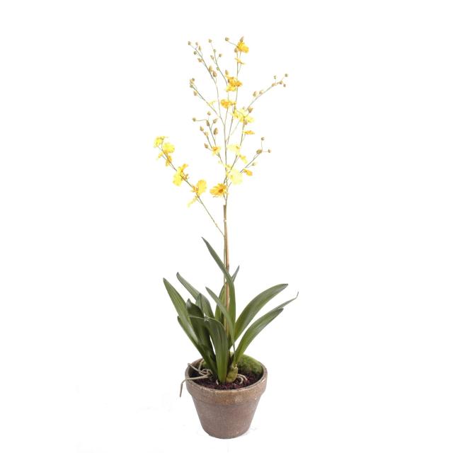 Orchidee Artificielle Dancing Lady en Pot de Terre