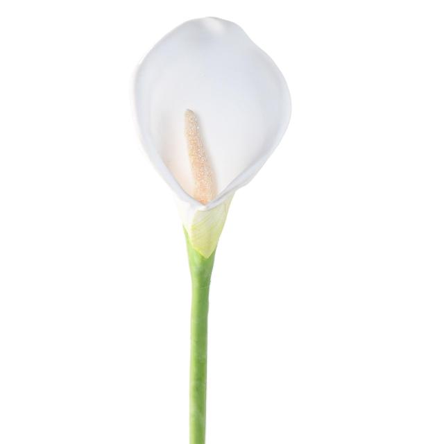 Arome Artificiel, Tige 1 Fleur ( Arum )