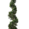 CYPRES artificiel MINI NEW SPIRALE LARGE