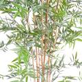 Bambou artificiel JAPANESE PLAST UV