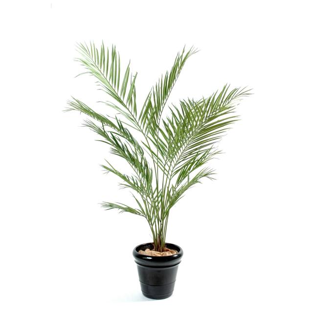 Kentia artificiel NEW PALM
