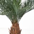 Phoenix artificiel TRONC N PLAST