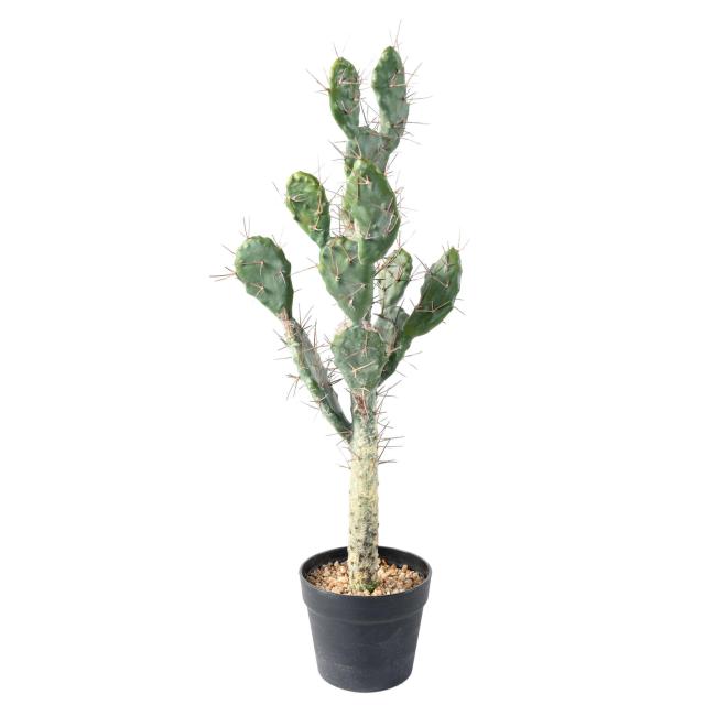 CACTUS Artificiel