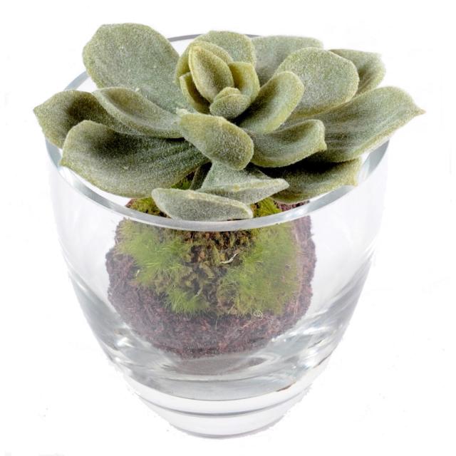Mini Vase Succulente Artificielle
