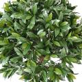 LAURIER NOBILIS Artificiel NEW BOULE UV