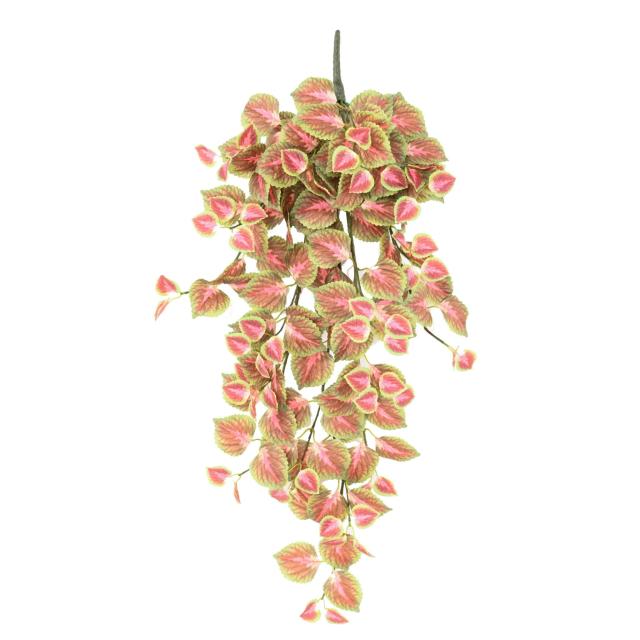 COLEUS Artificiel CHUTE 96 R