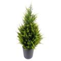 Cypres artificiel Juniperus
