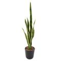 SANSEVIERIA artificiel PIQUET MIXTE