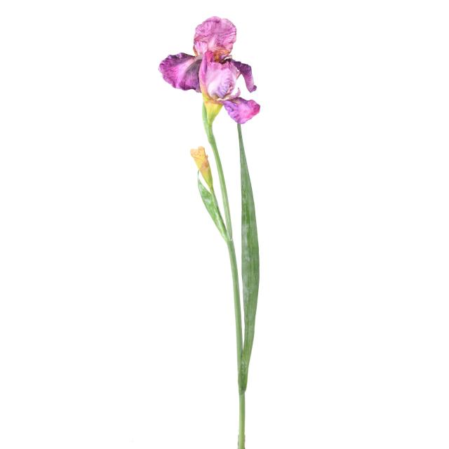 IRIS Artificiel