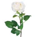 ROSE 66 Artificielle