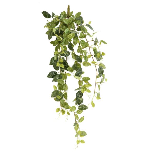 FITONIA Artificiel MINI *231