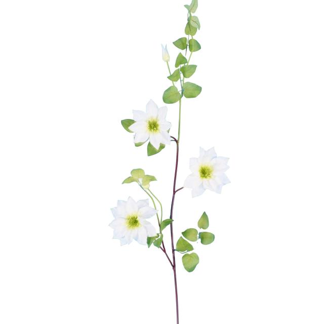 CLEMATITE Artificielle 107