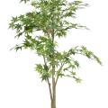 ARALIA artificiel