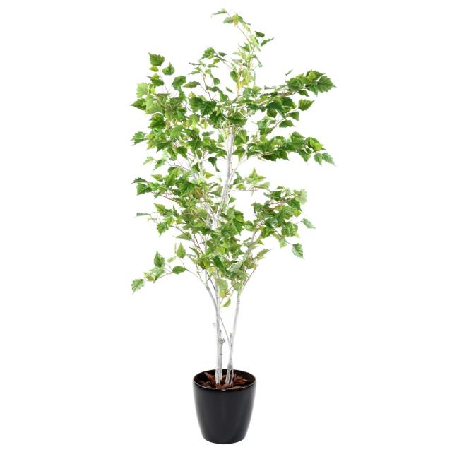 BOULEAU artificiel VERRUQUEUX
