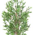 OLIVIER Artificiel TREE PLAST UV