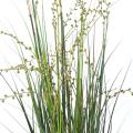 BERRY artificiel ONION GRASS