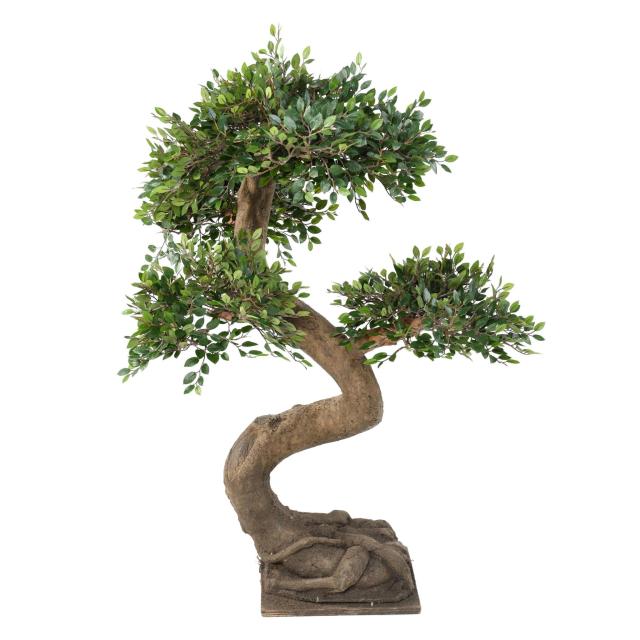 ORME BONSAI Artificiel