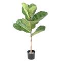 LYRATA Artificiel