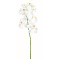 Phalaenopsis artificielle TIGE MEDIUM*6