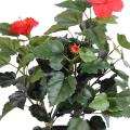 Hibiscus artificiel