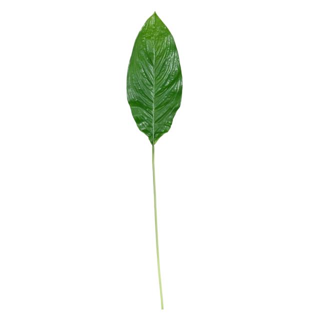 FEUILLE Artificielle GEANTE SPATHIPHYLLUM 105