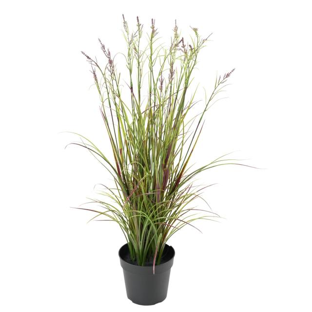 ACORUS Artificiel FLEURI POT