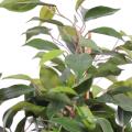Ficus artificiel NATASJA EN POT DE 10