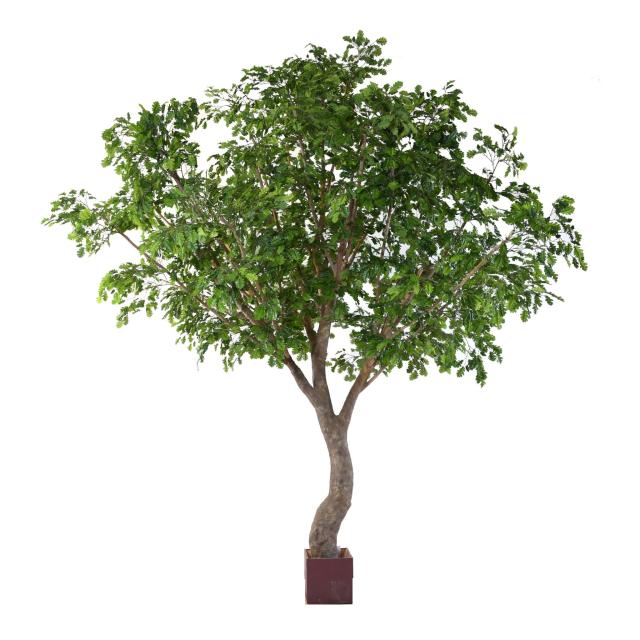 Chêne artificiel S
