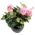 Geranium artificiel*115