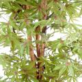 Aralia artificiel new (erable)
