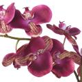 PHALAENOPSIS Artificielle POTTED 85