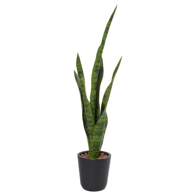 SANSEVIERIA artificiel PIQUET MIXTE