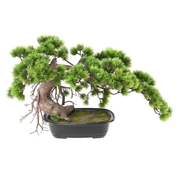 Bonsai Pin Artificiel Long
