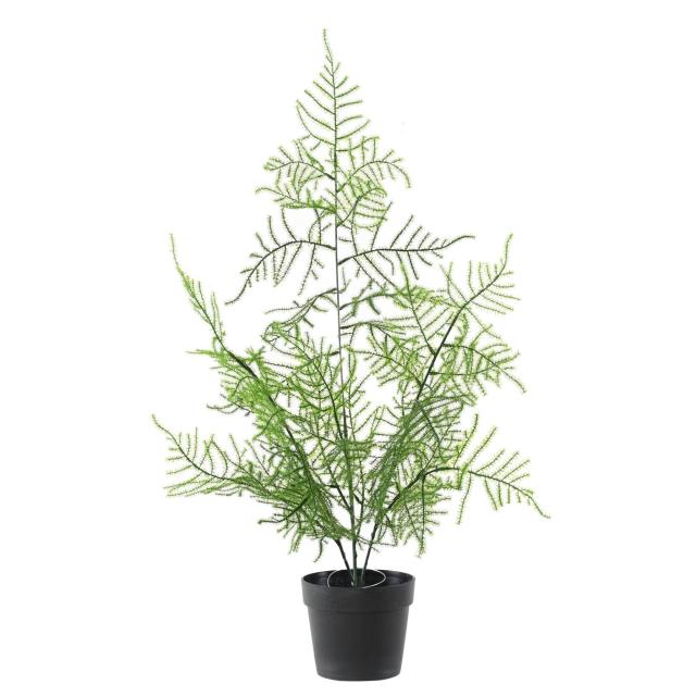 ASPARAGUS Artificiel 50 POT