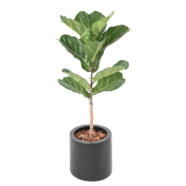 LYRATA Artificiel