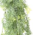 ASPARAGUS Artificiel CHUTE