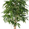 FICUS Artificiel ROOT LONGIFOLIA