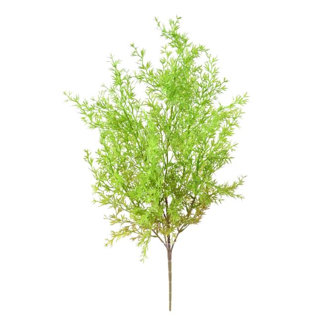 Asparagus Artificiel en Piquet