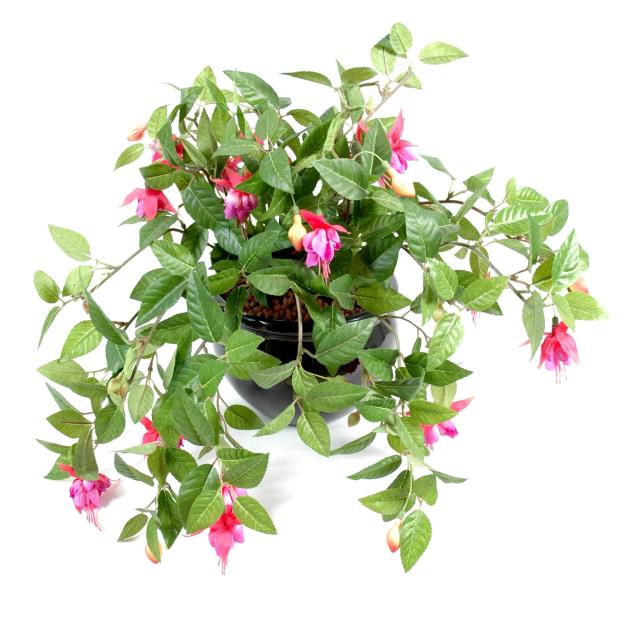 Chute Artificielle Feuillage Fuchsia