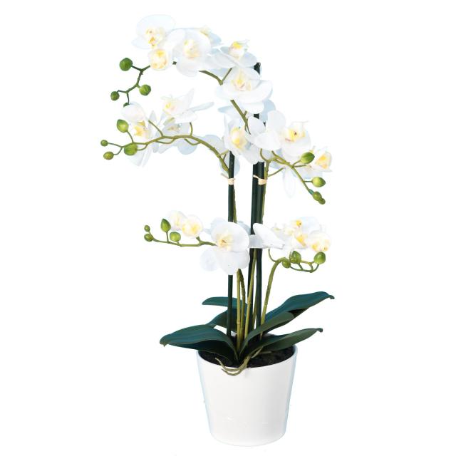 Orchidée Phalaenopsis Artificielle Blanche
