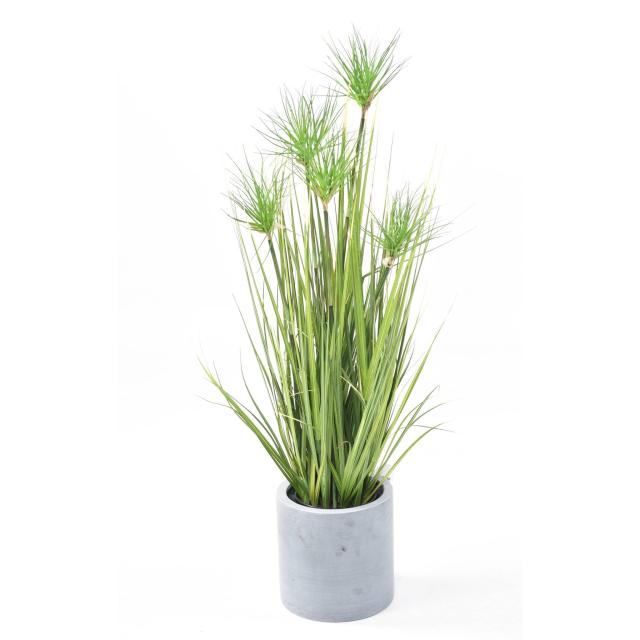 CHRYSOPOGON Artificiel GRASS