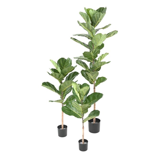 Ficus Lyrata Artificiel