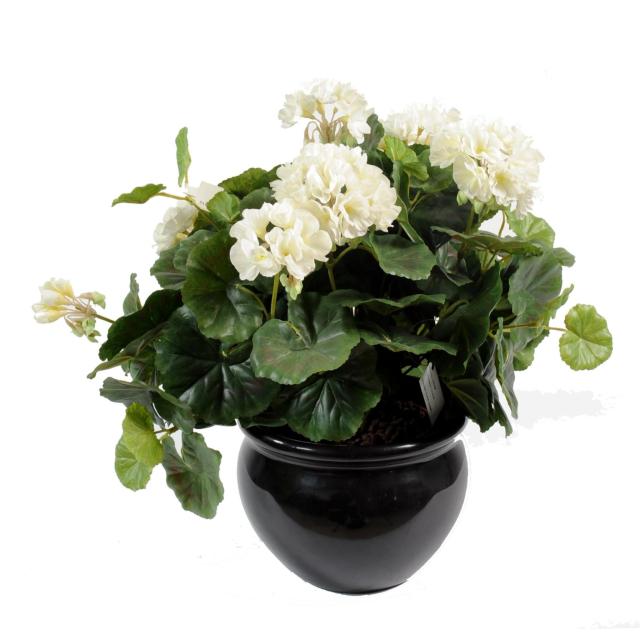 Geranium artificiel*115